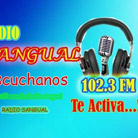 Radio Sangual