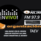 Organización Taev