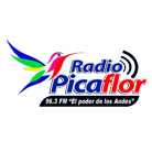 Picaflor - Junín