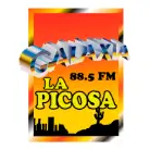 Galaxia La Picosa
