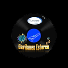 Gavilanes Stereo