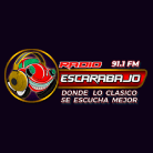 Escarabajo